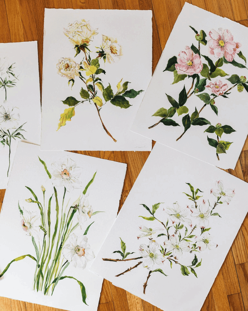 Artist Release | 'Before the Bloom' by Nina Rosner