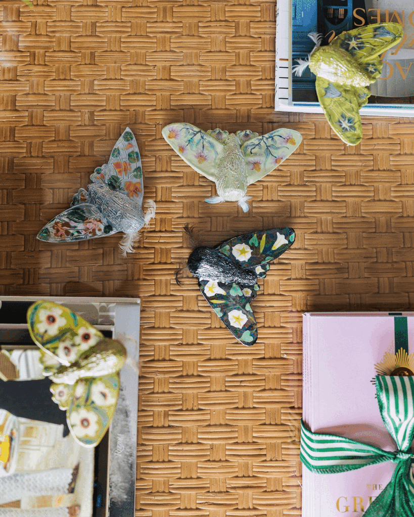 Artist Release | 'Field Notes: Insecta Botanical' by Tennyson Corley