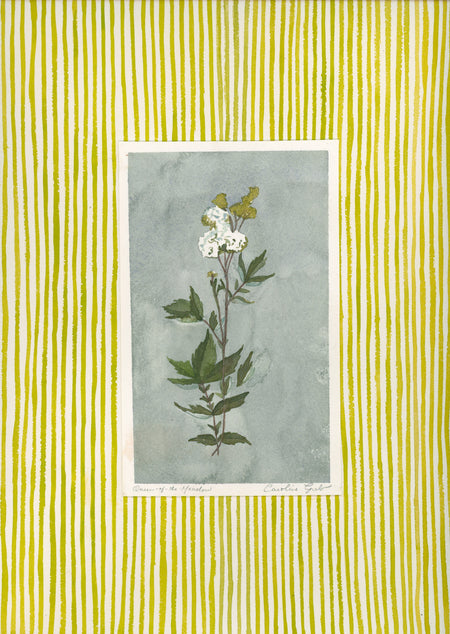 Everything That Has Breath, Six