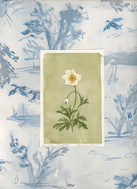 Everything That Has Breath, Seven