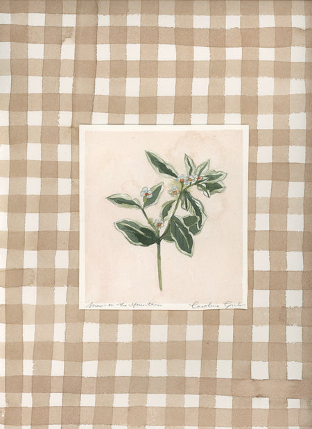 Everything That Has Breath, Eight