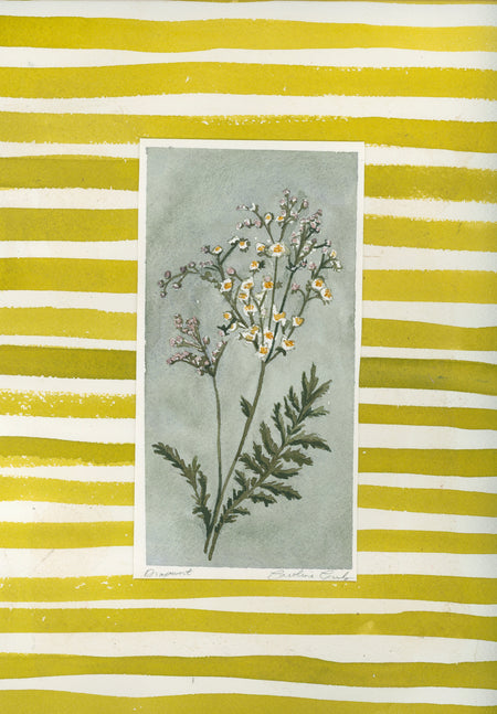 Everything That Has Breath, Five