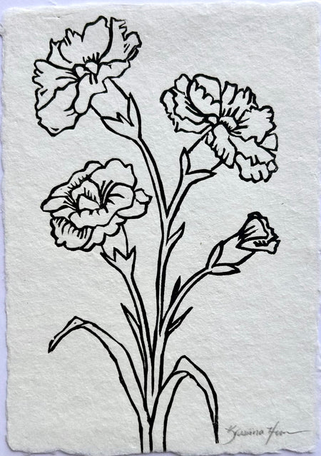 Carnation