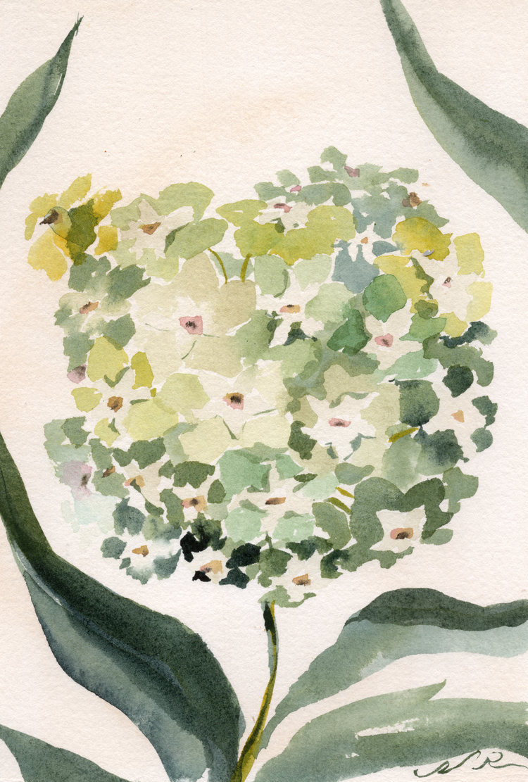 In the Weeds No. 13