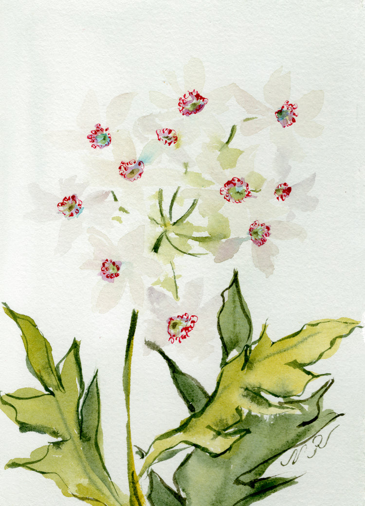 In the Weeds No. 12
