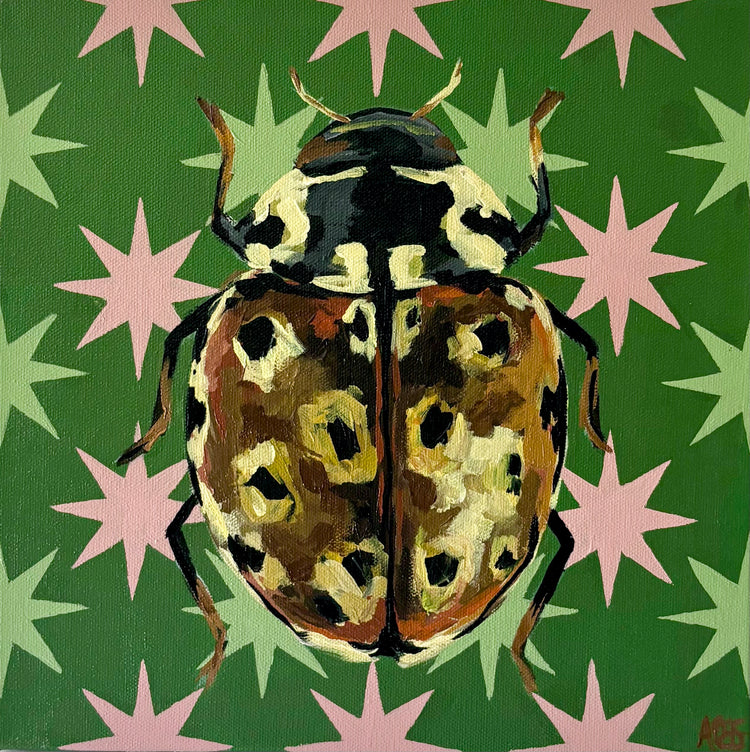 Beetle