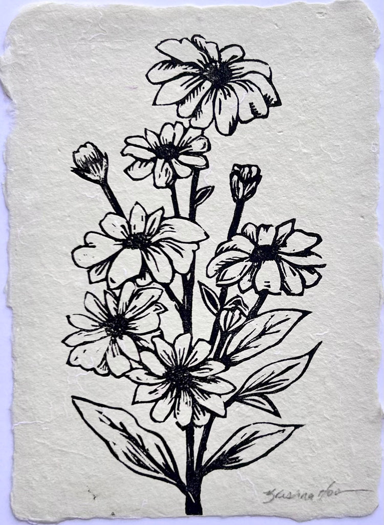 Daisy