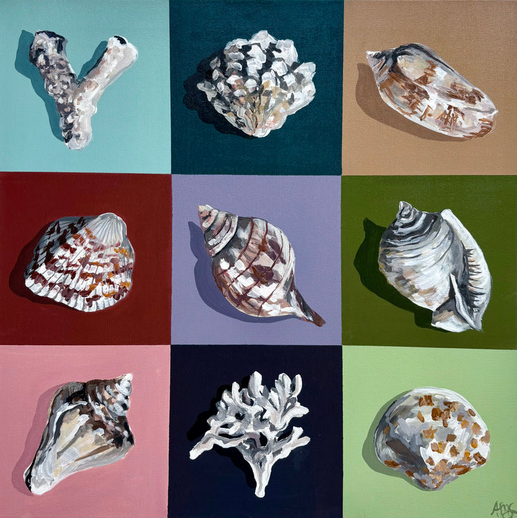 Shell Study