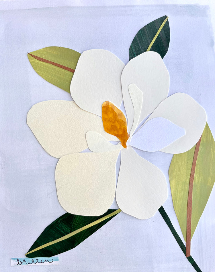 Elegant Magnolia
