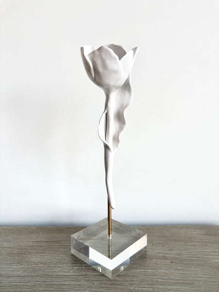 Étude Botanique, 12