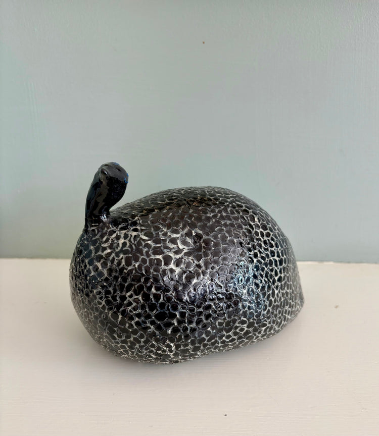 Guinea Hen, Two