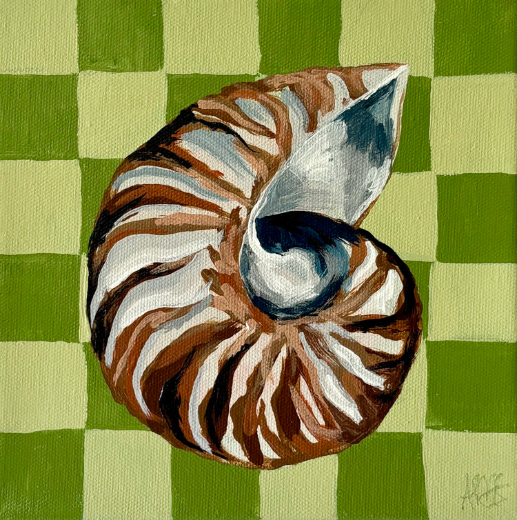 Snail Shell