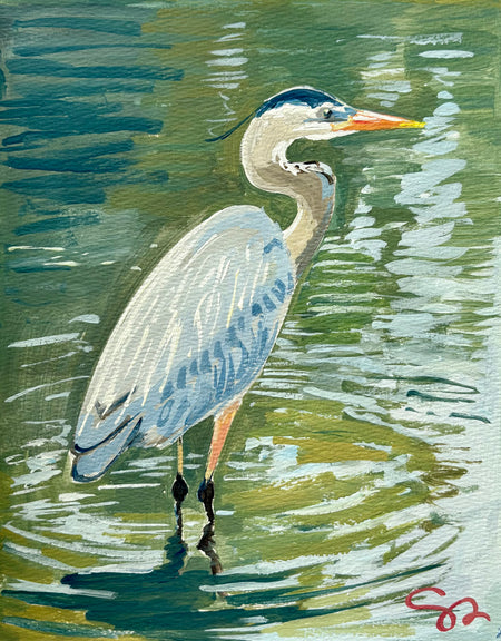 Birds, Seven