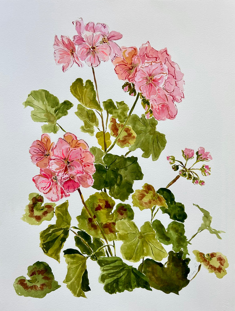 Before the Bloom, No.3