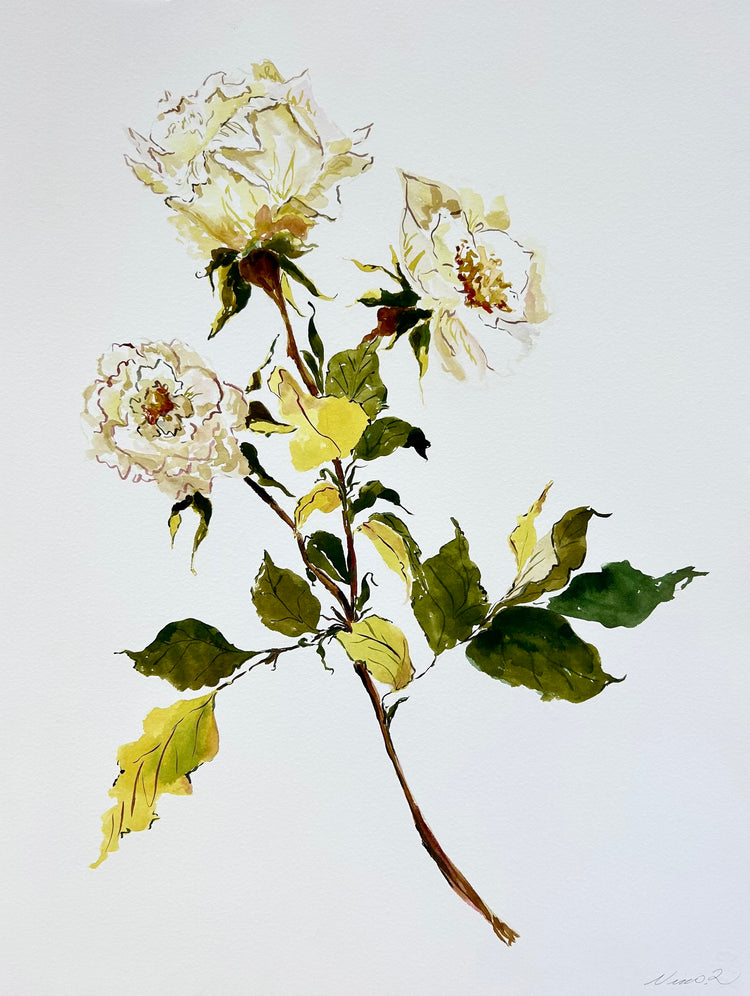 Before the Bloom, No. 8