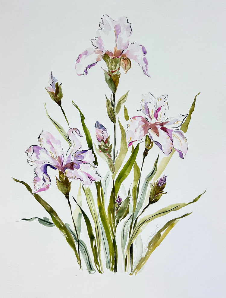Before the Bloom, No.4