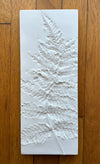 Rectangle, Three