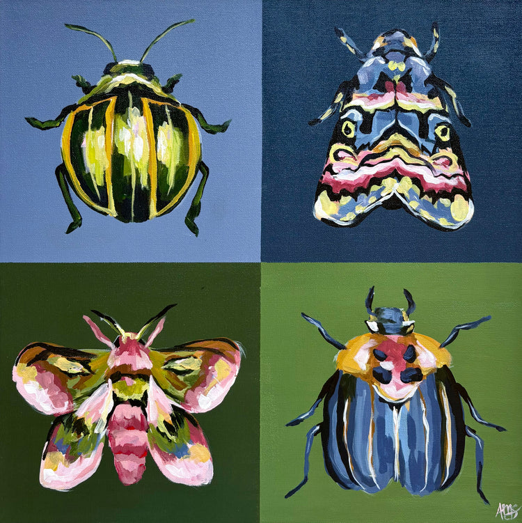 Insect Study